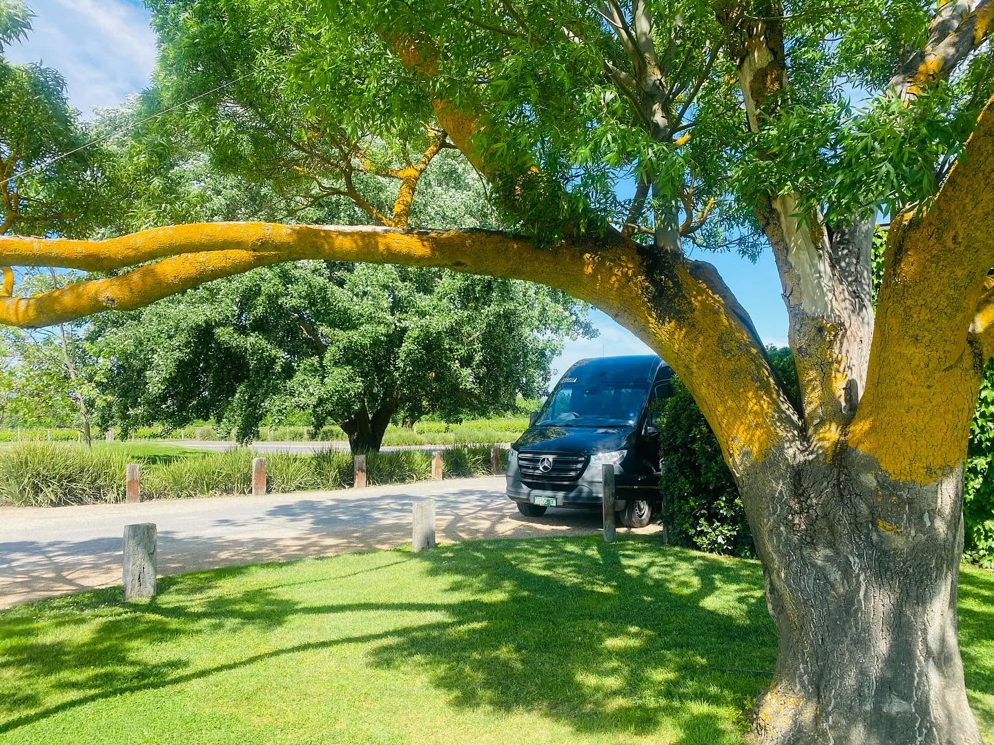 Yarra Valley Hidden Gems Tour