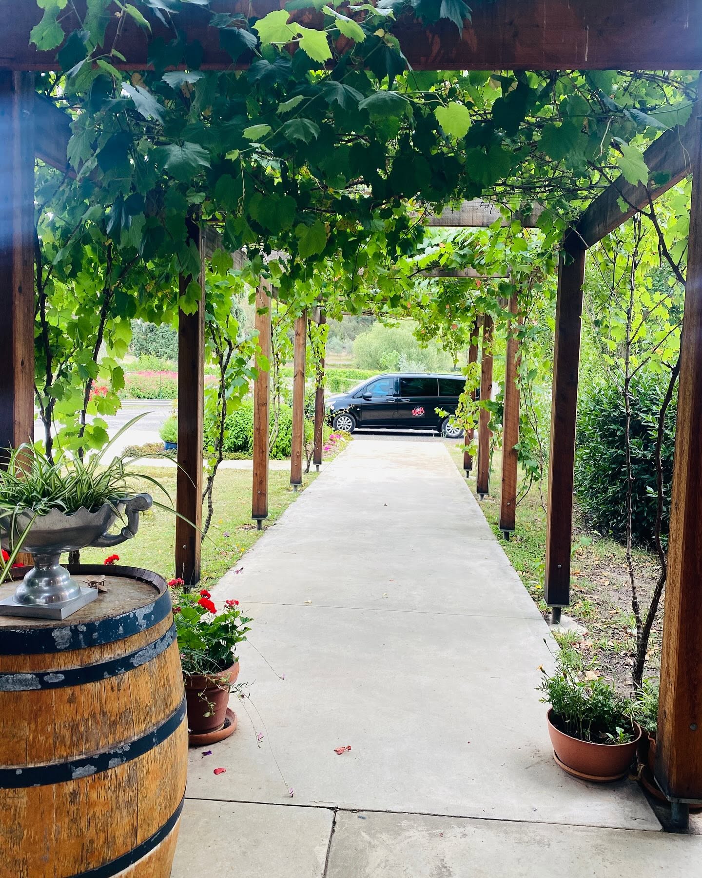 Yarra Valley Pick Of The Bunch Tour