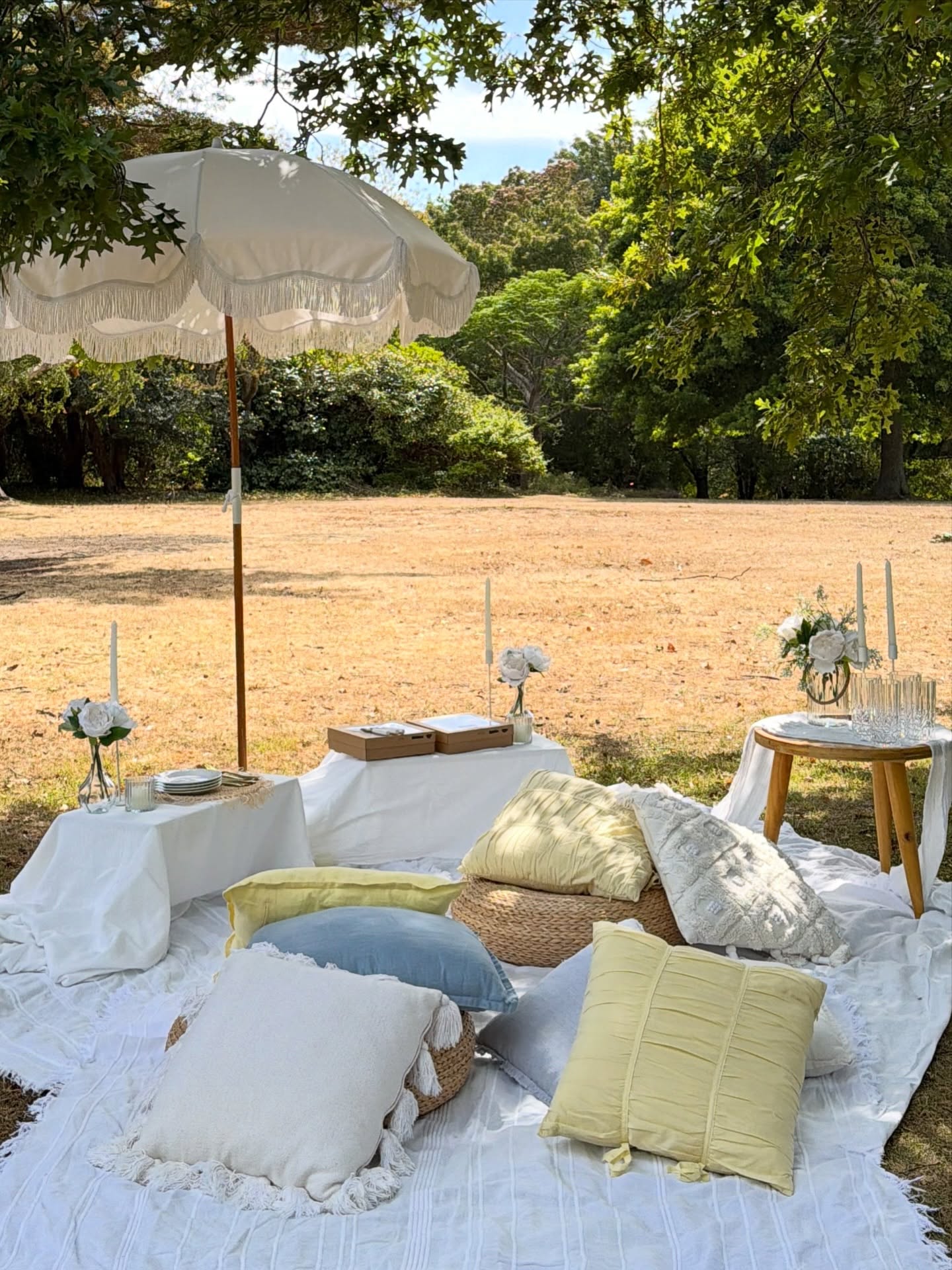Chill zone (option 1)